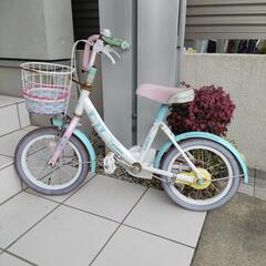 幼稚園児　補助輪無し　自転車