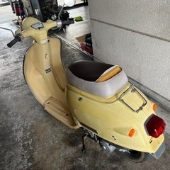 ジョルノ 2st 可愛い