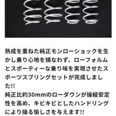 zc33s ローダウンスポーツスプリングセット