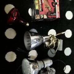 新古　小鳥用アクリルゲージ&爬虫類アクリルケース