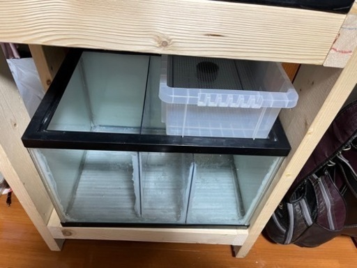 オーバーフロー水槽60センチワイド