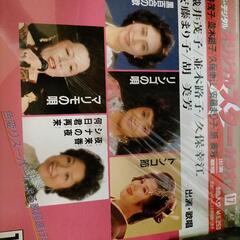 Laser Disk　(30枚)