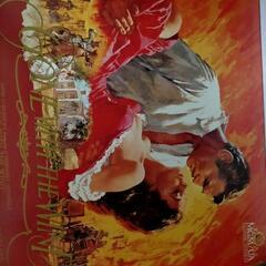 Laser Disk　(30枚)