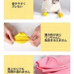 犬用ラバーシューズ 風船 ソックス 大型犬用（新品） − 北海道