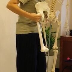 解剖を学んで身体を感じるシリーズ  『骨盤を感じよう』 - イベント