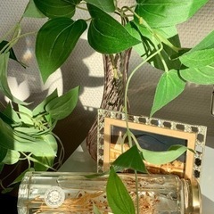 【USED】【再お値引きしました！】薄いピンクの花瓶&小さい写真...