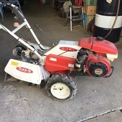 マメトラお話中決まりました