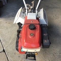 マメトラお話中決まりました