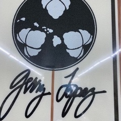 コストコ　ジェリーロペス　ソフトボード【手渡し限定】