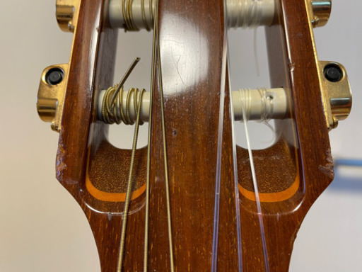 ギブソン エレガット チェットアトキンスモデル 1999年