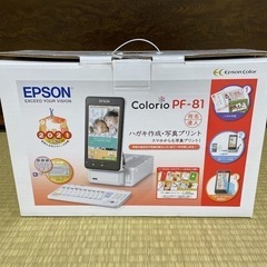 ☆新品☆EPSON PF-81 2021年 永久版デザインSDカード付