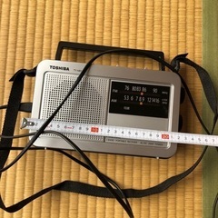 家の中処分　ラジオ