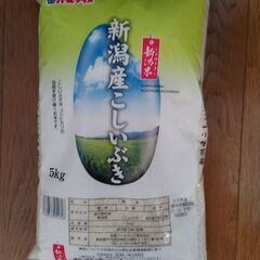 【新米】新潟県産こしいぶき 5Kg × 2袋