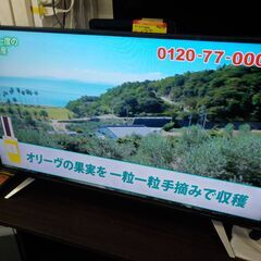 ID:G996419 40型テレビ（2019年オリオン製）