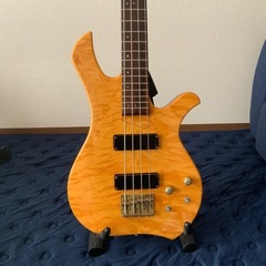 EDWARDS by ESP ET-98EL 