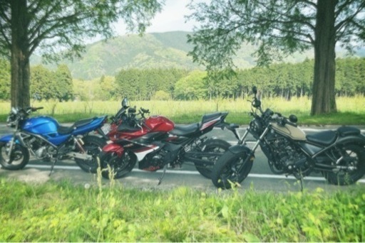 スズキ SUZUKI GSX250R