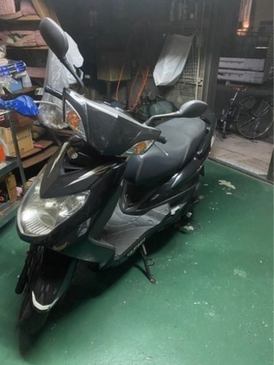 シグナス二型