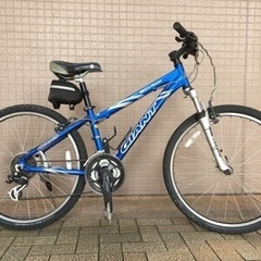 GIANT ROCK4500 おまけ多数 取りに来られる方のみ