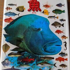 小学館の図鑑ＮＥＯ魚
