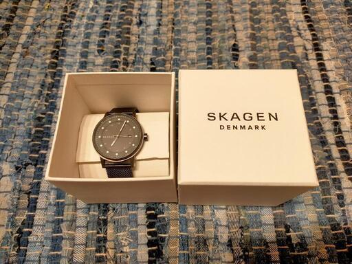 スカーゲン（SKAGEN）腕時計 SKW6741