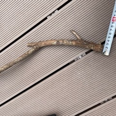 園芸用電動粉砕機 ローラーミルガーデンシュレッダー