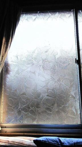窓ガラス（葉っぱの様な幾何学模様の型ガラス板）