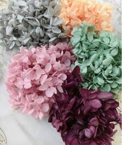 ぽろぽろ花材プリザーブドメイン1000円分限定1 2名 お花の雑貨屋さん 県庁前のその他の中古あげます 譲ります ジモティーで不用品の処分