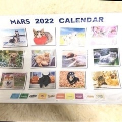 犬猫用オムツ１０枚とMARS大きめカレンダー