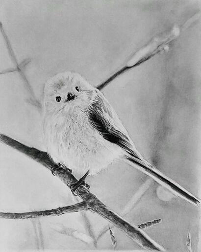 鉛筆模写 鉛筆画教室 心絵 初心者大歓迎 鉛筆画を趣味にしてみませんか 鉛筆画家ようこう 智頭のその他の生徒募集 教室 スクールの広告掲示板 ジモティー