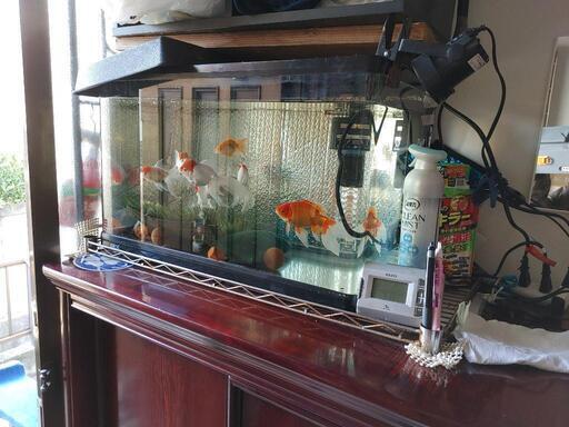 水槽に金魚 酸素用のろ過ポンプ二個セットして譲ります 猫 西明石の家具の中古あげます 譲ります ジモティーで不用品の処分