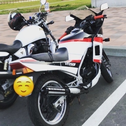 希少　VT250FE インテグラ