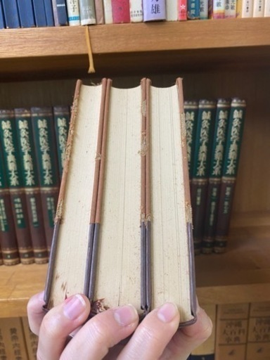 鍼灸医学典籍大系 全巻 1〜23巻 鍼灸 専門書