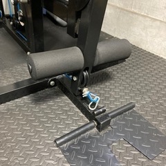 ファイティングロード　ＤＸホームジム100