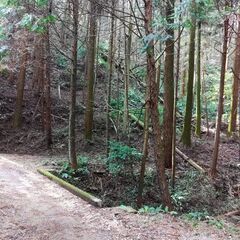 【賃貸】林業向き　三重県津市安濃町光明寺の山林お貸しします