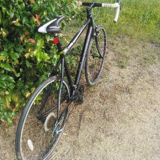 SCHWINN FASTBACK 3