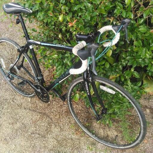 SCHWINN FASTBACK 3