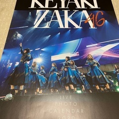 欅坂46 2020年度壁掛けカレンダー