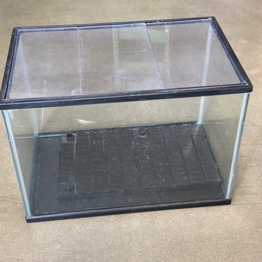 フタ付き水槽横幅40cm ひまわり 布袋のその他の中古あげます 譲ります ジモティーで不用品の処分