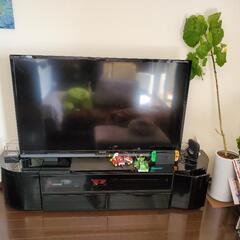 シギヤマ家具　テレビボード　2/6引取なら3000円