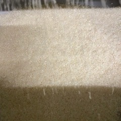 新米　采のキズナ　玄米　30kg 令和5年度産