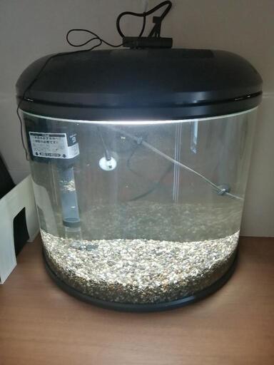 水槽48cm ポンプほぼ新品 半円形 熱帯魚など アクアリウム 淡水魚 配送可能 千葉県 Rrr 福俵のその他の中古あげます 譲ります ジモティーで不用品の処分