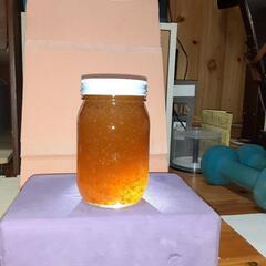 【ネット決済・配送可】昨年の秋に採取した日本蜜蜂の蜂蜜