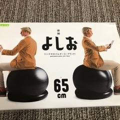 決まりました！バランスボールリング付き【姿勢よしお】