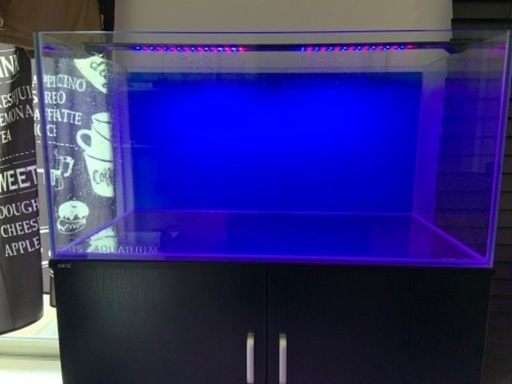 90センチ水槽のみ