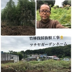 竹林伐採　林伐採　畑の樹木伐採抜根ならツチヤガーデンホームへ/所沢市 - 所沢市