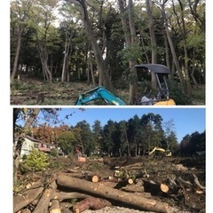 竹林伐採　林伐採　畑の樹木伐採抜根ならツチヤガーデンホームへ/所沢市