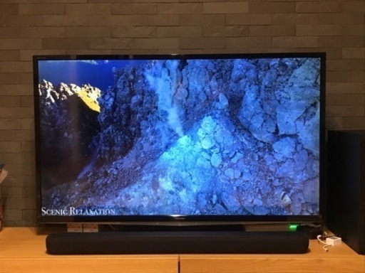 安い値段 ジャンク品 50M540X REGZA 50インチ 液晶テレビ テレビ