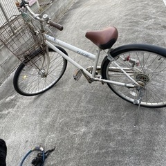 自転車　引き渡し予定者決定いたしました。