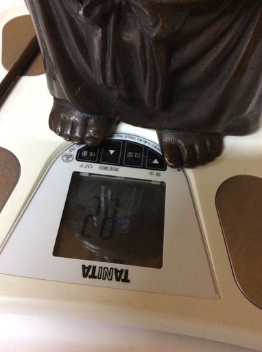 布袋様 8.2kg | noonanwaste.com