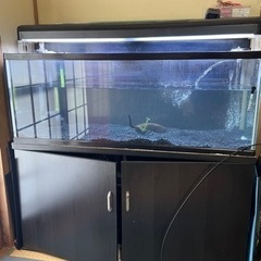 コトブキ 120cm水槽セット 上部＆外部フィルター 引き取り限定(松山市)